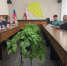 Мария Усова встретилась с активными женщинами Калининского района - Газета Народная трибуна