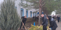 Студенты Калининского техникума агробизнеса приняли участие в общеобластном субботнике - Газета Народная трибуна