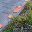 Год 1941-й. Районная газета «Сталинец» писала… - Газета Народная трибуна