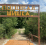 Нам вновь запретили посещать леса - Газета Народная трибуна